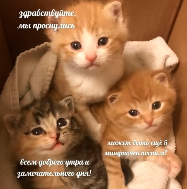 Вот и утречко, просыпаемся!