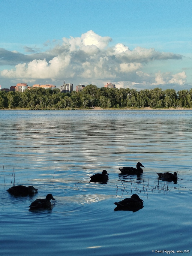🦆😇 Тишь дa глaдь, дa Бoжья блaгoдaть