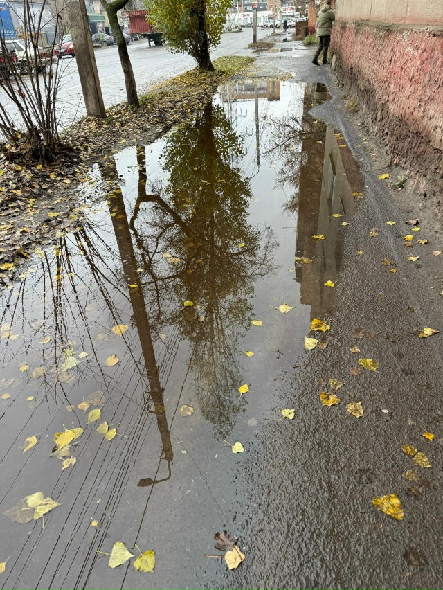 😡 Жители Сеймского округа Курска возмущены состояние...