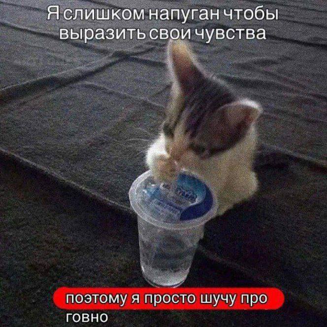 Утренняя подборочка