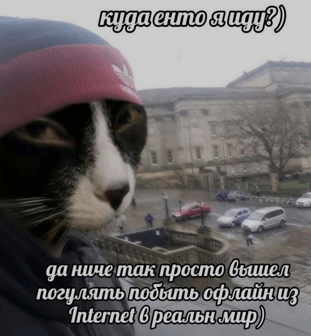 Ночная подборочка
Спать, режим