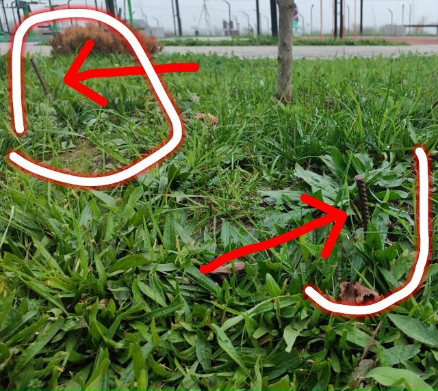 Всем доброго времени.
И опять 25 в нашем городке🤬много...