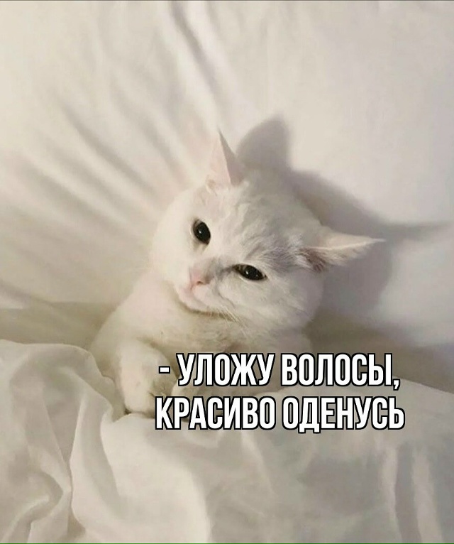 Ой, это вообще классика, согласны?