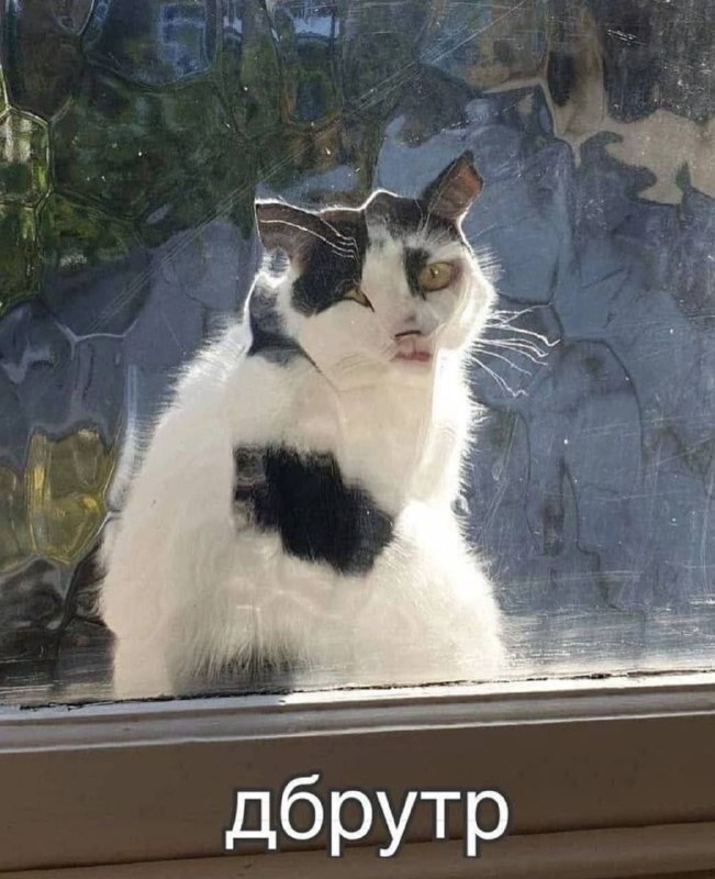 состояние