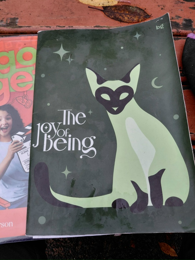 На детской площадке Верхняя 16 в детской машине найден ?...