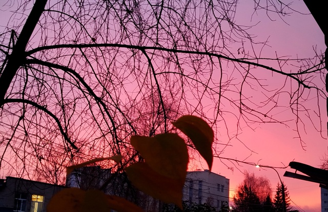 Рассвет сегодня, 21.10.25г.,кто снимал еще,поделитесь крас?...