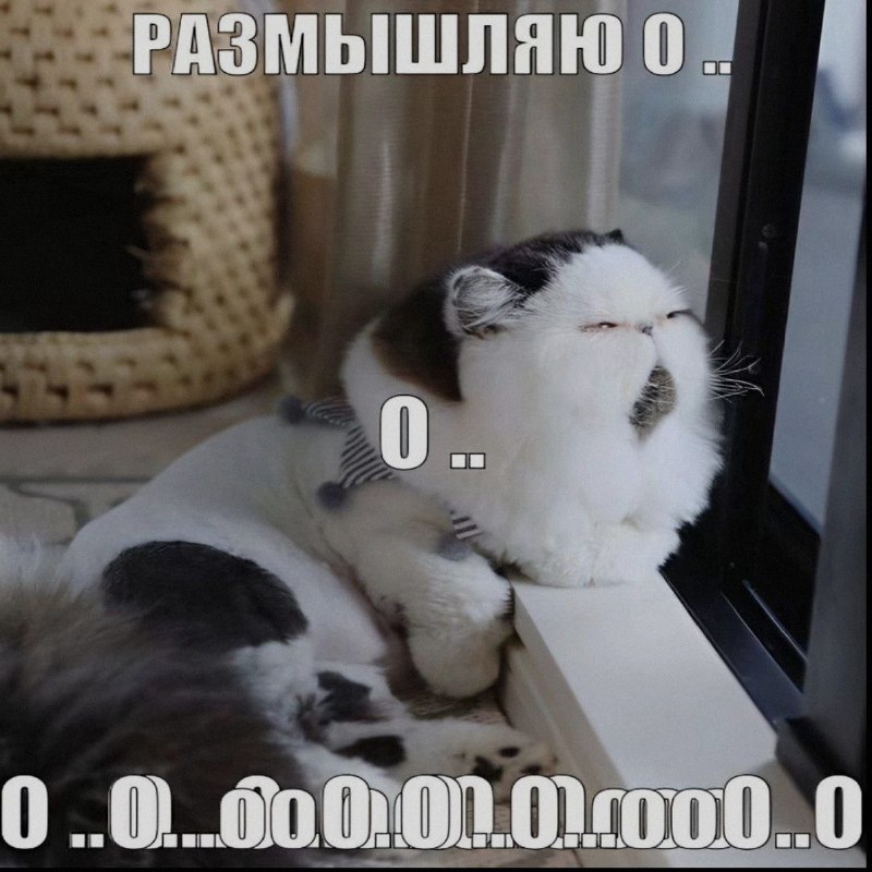 Ночная подборочка
Спать, режим