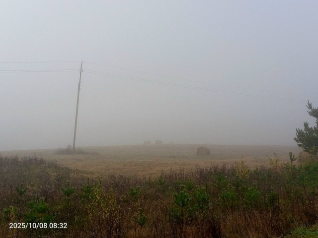 Ну как же не любить Россию?
Я тут родился, вырос и живу! ...