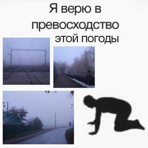 Утренняя подборочка