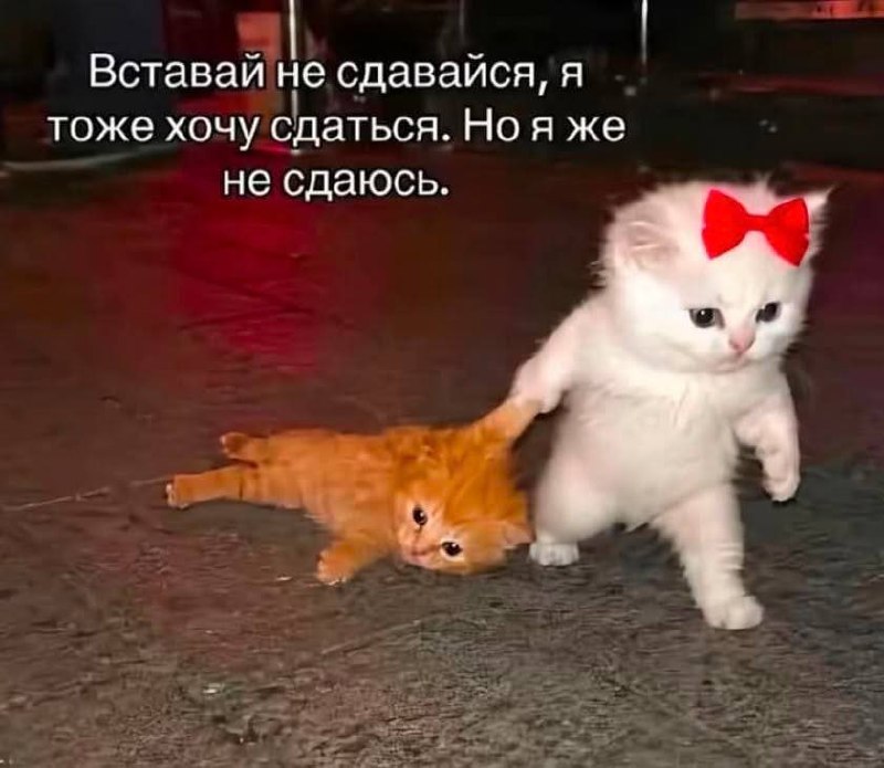 Как ощущается пытаться натрахаться с ним в овуляцию