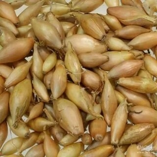 3 октября пятница, на продовольственной части рынка бу?...