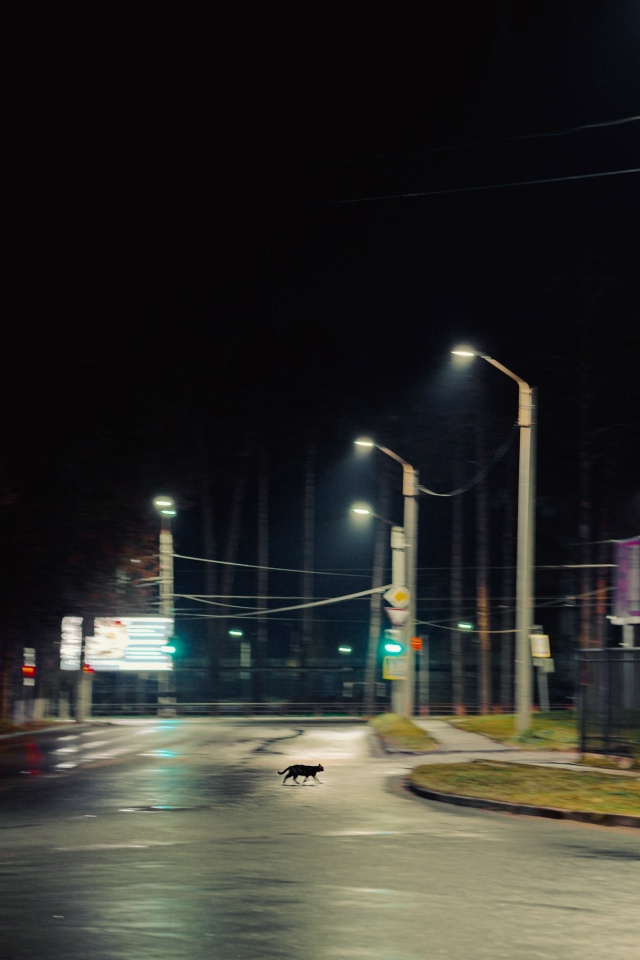 🖤 Вечерний Ковров