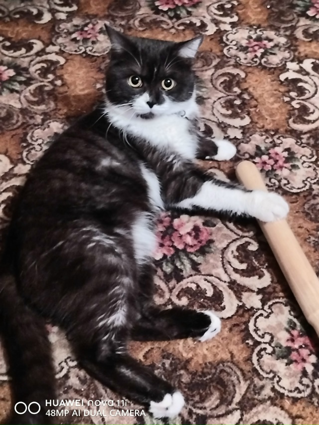 Арсений 🤗❤️