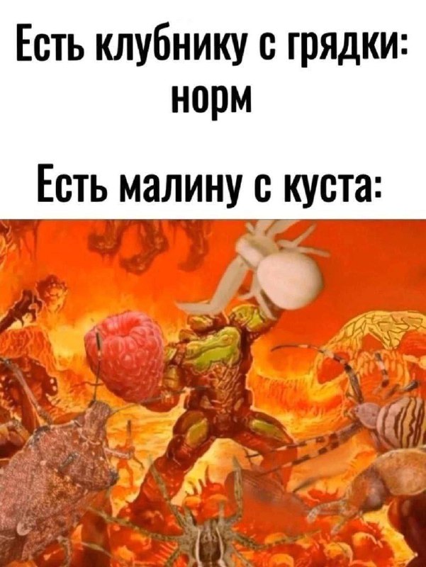 Утренняя подборочка