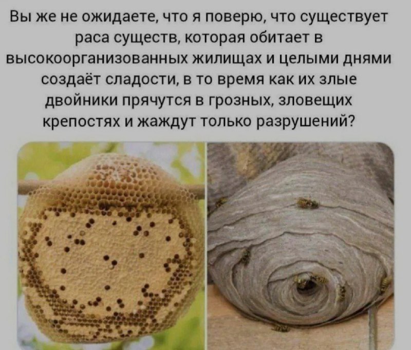 Ночная подборочка
Спать, режим