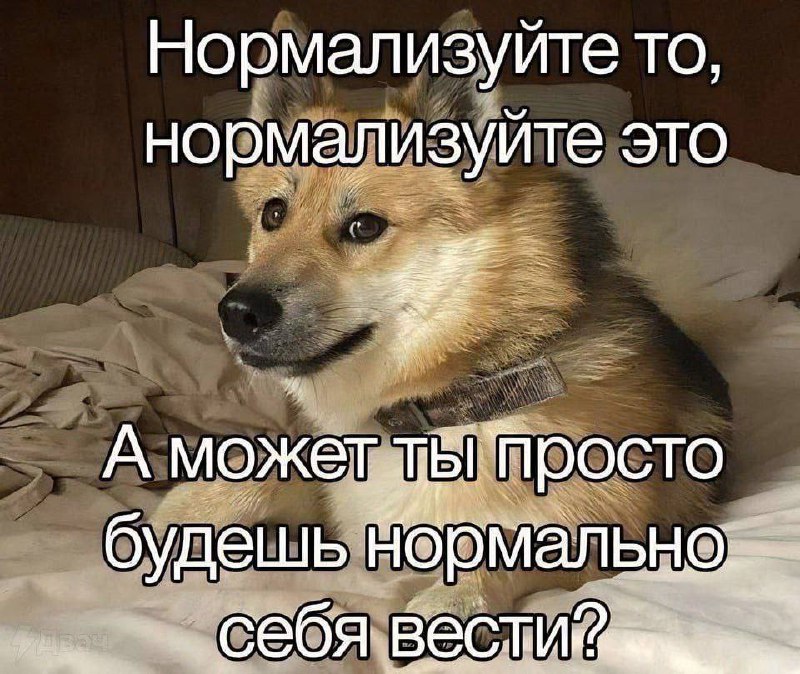 Утренняя подборочка