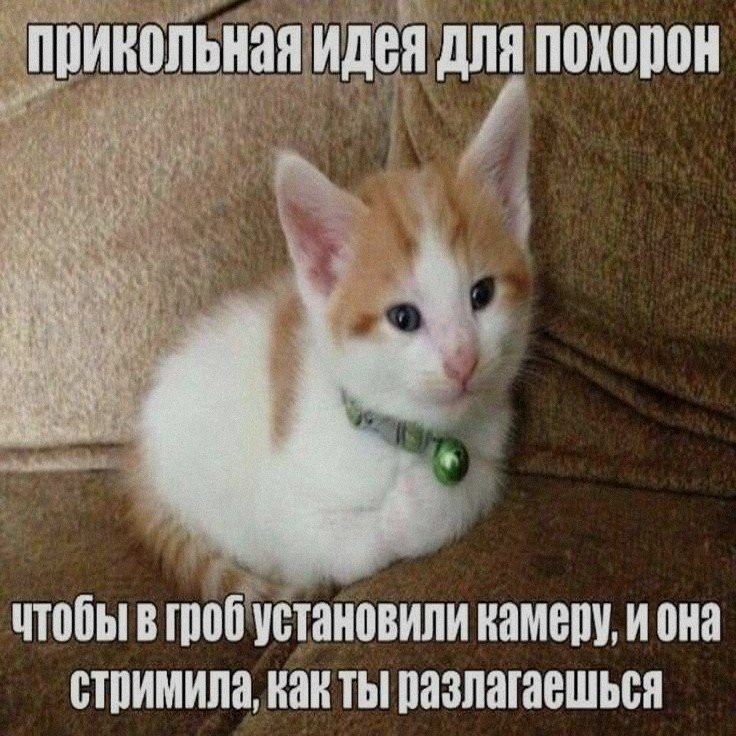 Ночная подборочка
Спать, режим