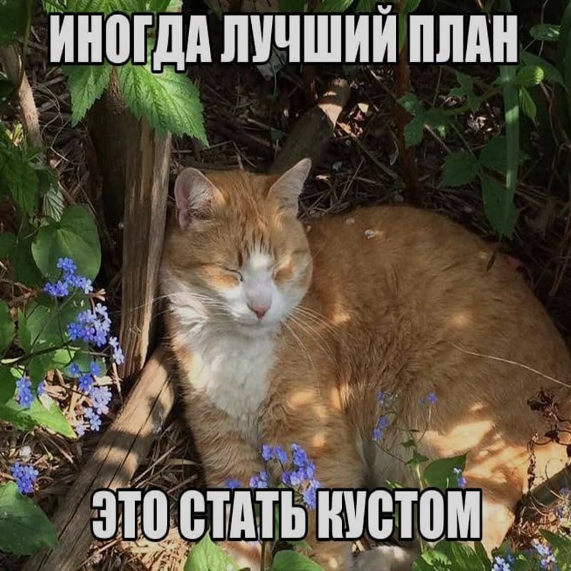 Ночная подборочка
Спать, режим