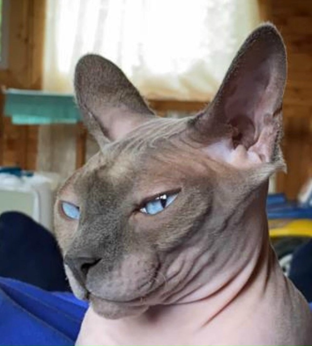 Бесик 🥰😸🥰