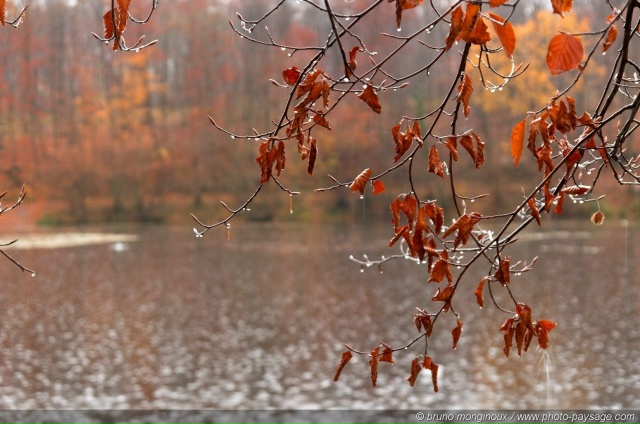 Сегодня на Смоленщину вернутся дожди
По прогнозам син...