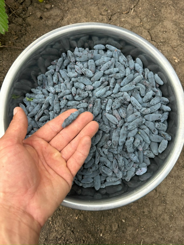 ‼️Отличная новость для садоводов г.Бузулук!
?? 1 Окт...