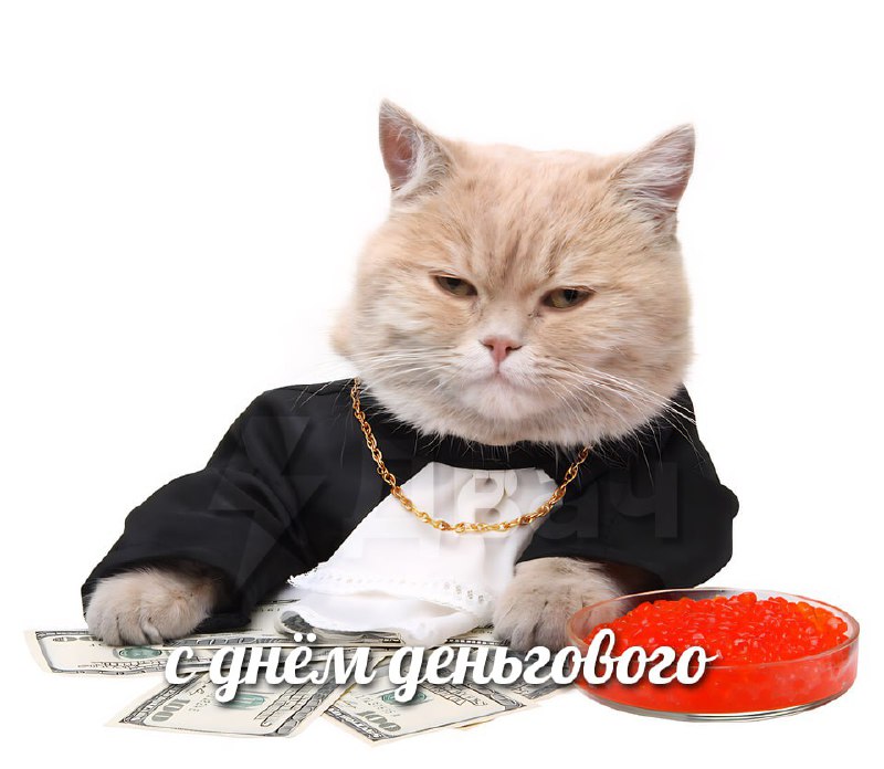 Сегодня отмечается День денег
Отправь денежного кота всем, кому желаешь побольше денег