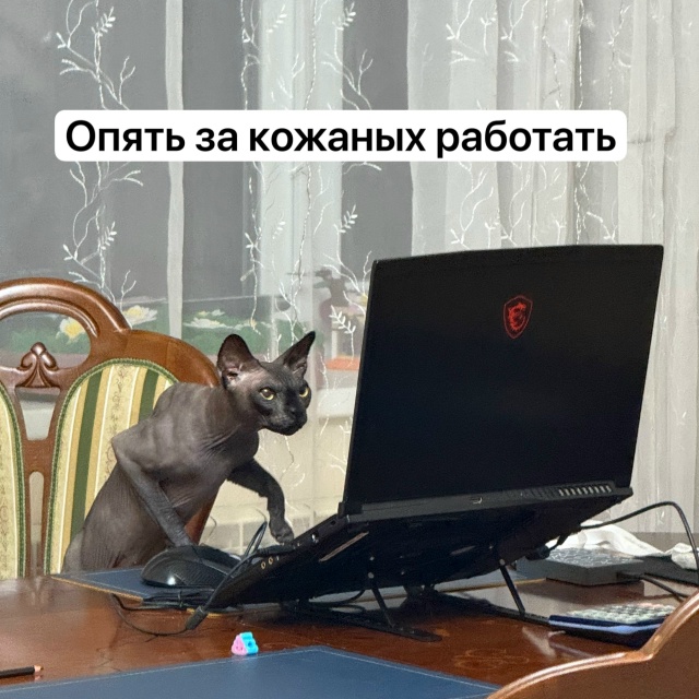 Подловил своего всратыша за подработкой)