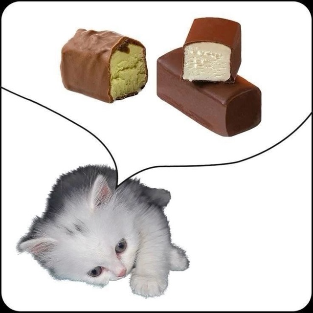 эх сейчас бы сырок,а не вот это вот всё..