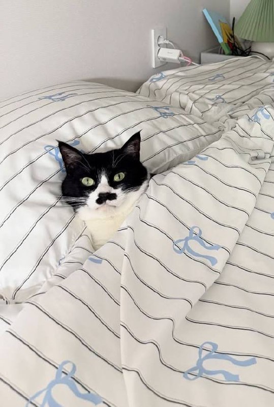 Наконец-то споть :3