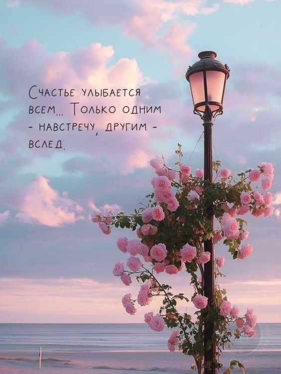 Счастье всегда улыбается вам