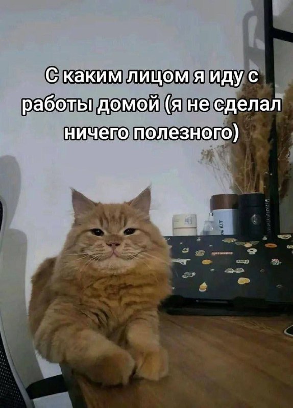 Утренняя подборочка