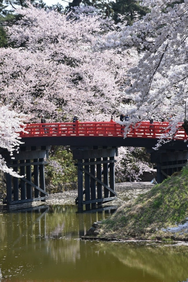 ? Парк Хиросаки — одно из главных мест Японии для вст?...