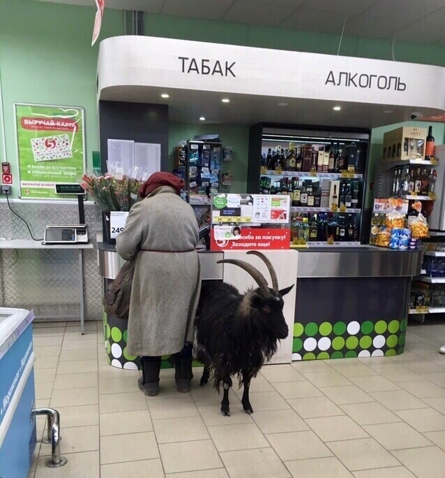 Когда цены на молоко поднялись в два раза 😃