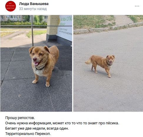 Пост добра. Распространите, пожалуйста.