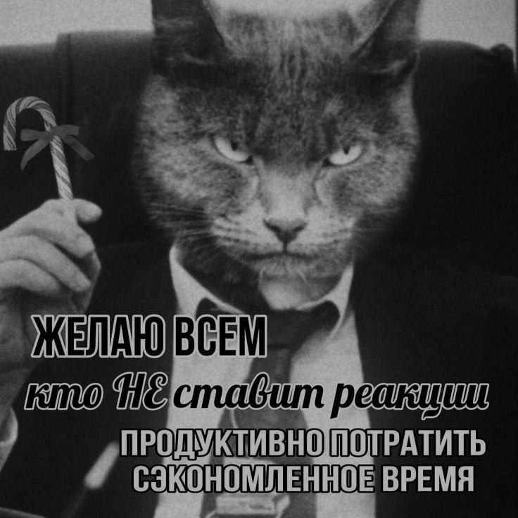 Ночная подборочка
Спать, режим