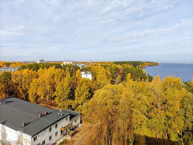 Самое яркое время года золотая Осень🍁🍂
А какой арома...