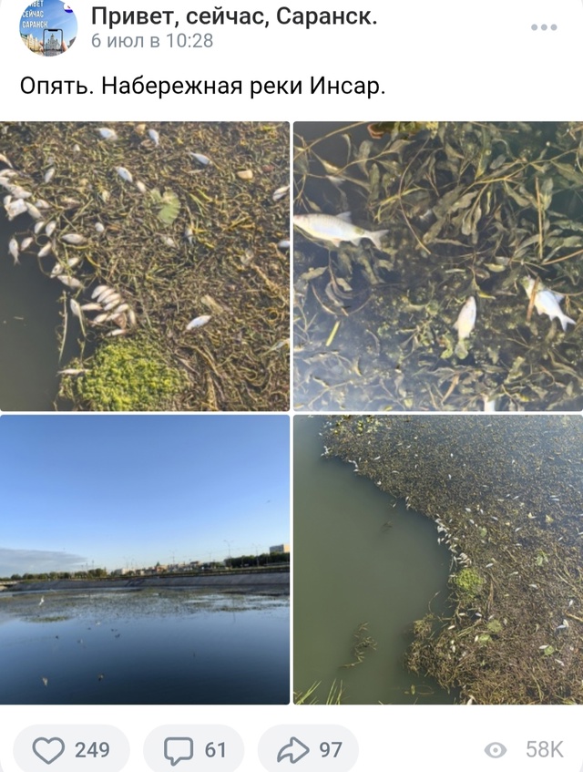 Река Инсар впадает в реку Алатырь в 136 км от устья, похо?...