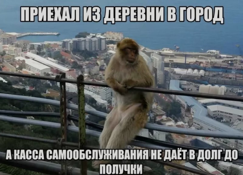 Ночная подборочка
Выходные, не спим