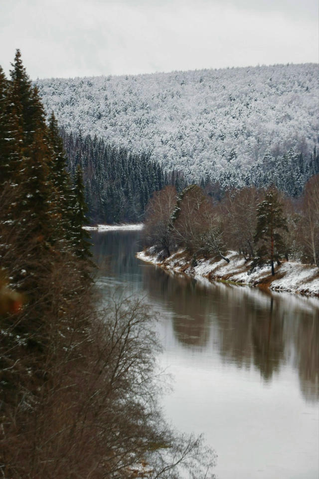 Леса Урала превращаются в сказочные пейзажи — на фото ...