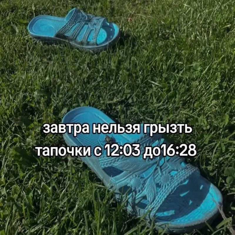 Утренняя подборочка