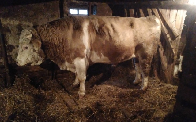 Продам.89619024367