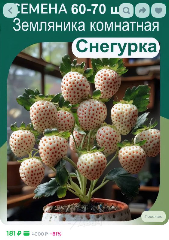 Российских бабушек массово скамят на маркетплейсах — площадки завалены карточками саженцев со сгенер