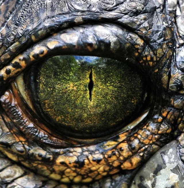 Сможете понять где чьё зеркало души? Глаз - сенсорный ?...