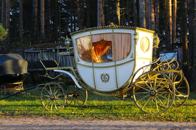 Хорошевский коневодческий комплекс 🍂🍂
Правда краси...