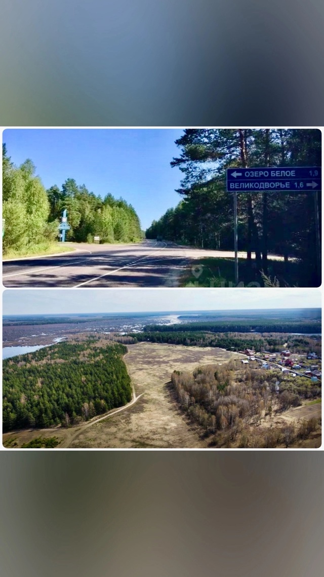 🌿Продаются земельные участки в д. Великодворье Шатур?...
