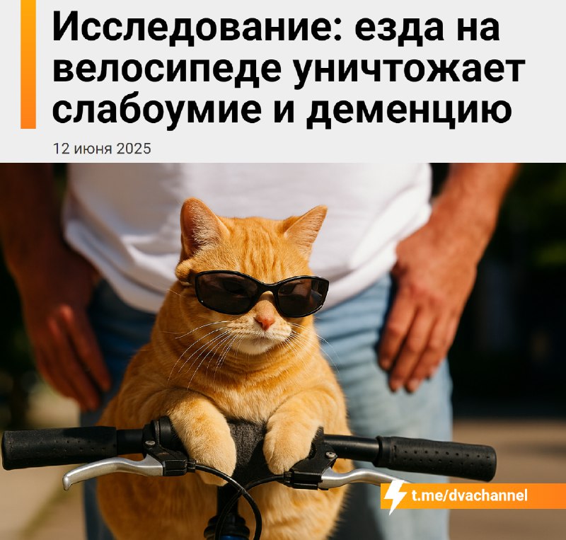 Езда на велике снижает риск слабоумия и деменции на 40%, подтвердили учёные
Всё благодаря работе мы