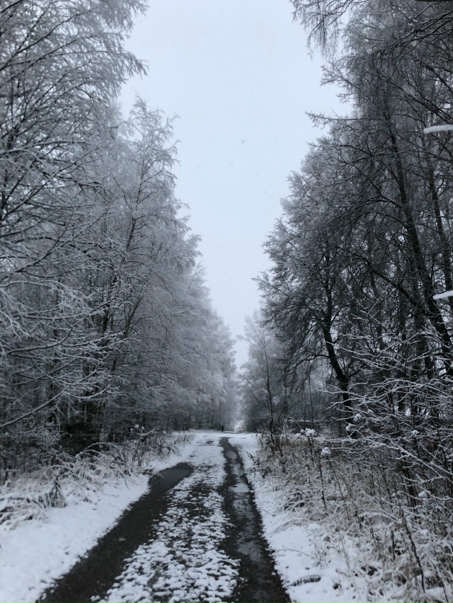 Вчерашняя красота❄️
от подписчиков