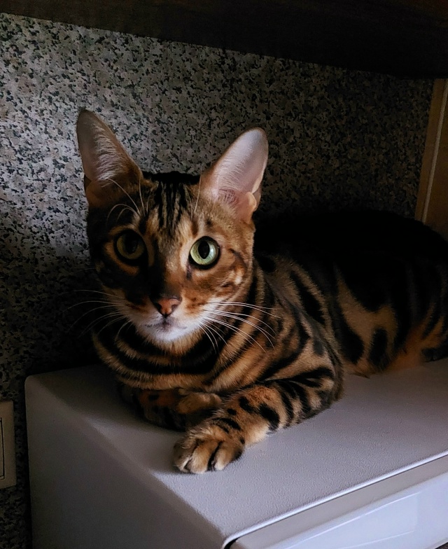 Любовная любовь!!!