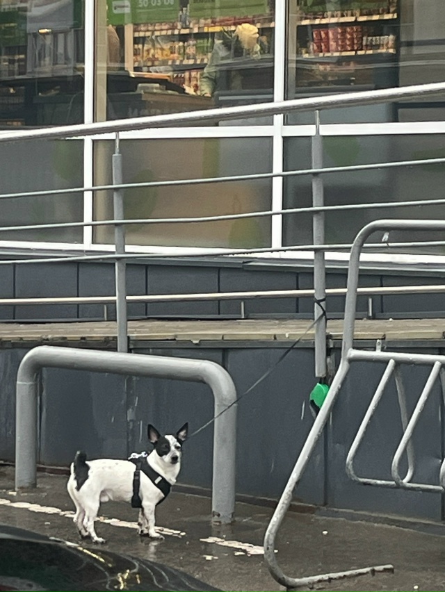 На парковке у Каравана спутник Светлая 11 стоит, мокнет ...