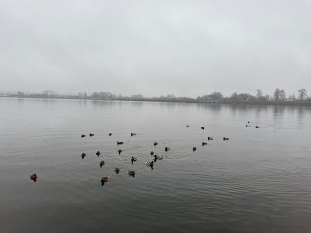 красиво сегодня однако